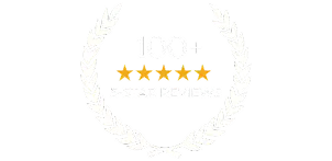 100 5-star reviews
