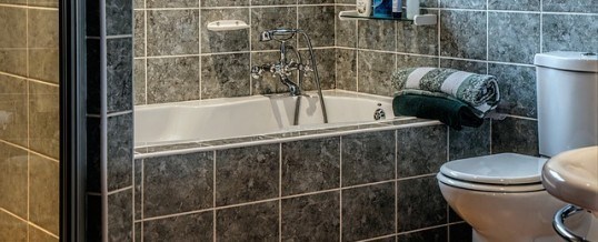 Bathroom Remodeling | 5 Simple Ideas to Green Up Your Bathroom